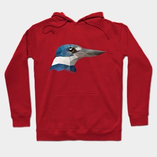 Collared Kingfisher Hoodie